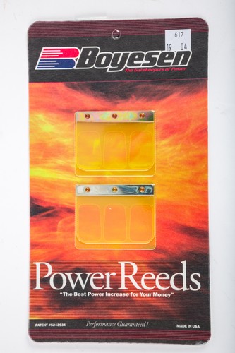 Boyesen single lens with - lens,